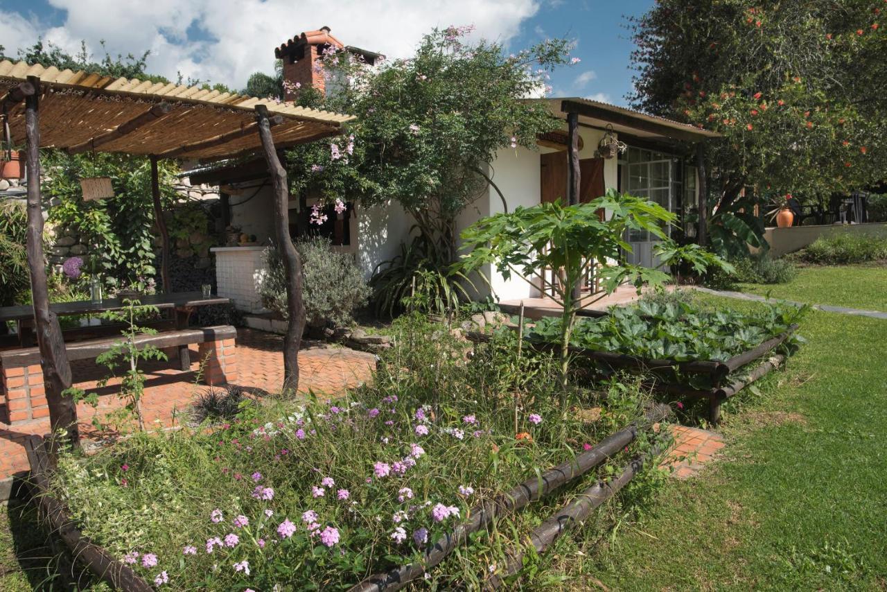 Bed and breakfast Casa Hernández *